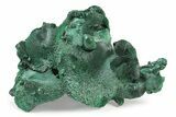 Silky, Botryoidal Malachite Cluster - Congo #250616-1